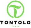 Logo_ONG_Tontolo_Tsara